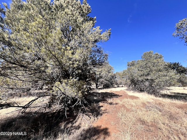 7277 Daisy Dr, Williams, AZ 86046