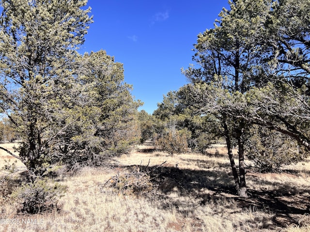 7277 Daisy Dr, Williams, AZ 86046
