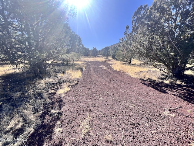 7277 Daisy Dr, Williams, AZ 86046