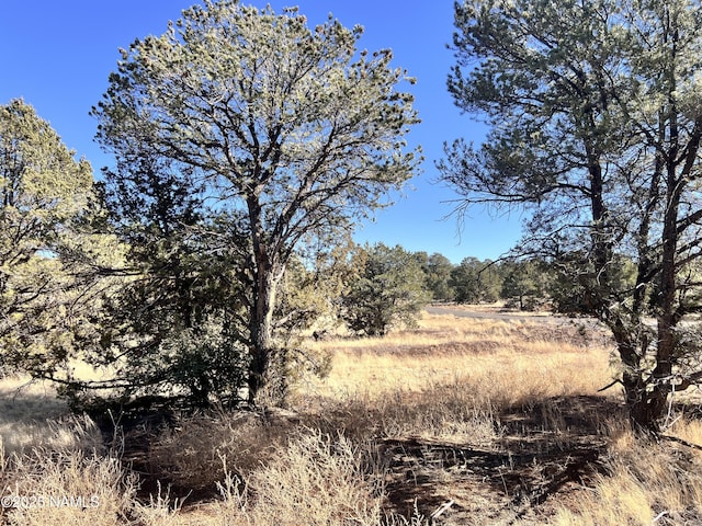 7277 Daisy Dr, Williams, AZ 86046