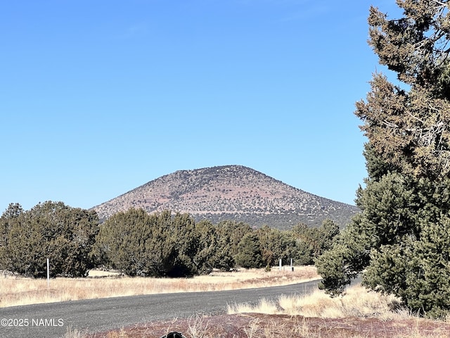 7277 Daisy Dr, Williams, AZ 86046