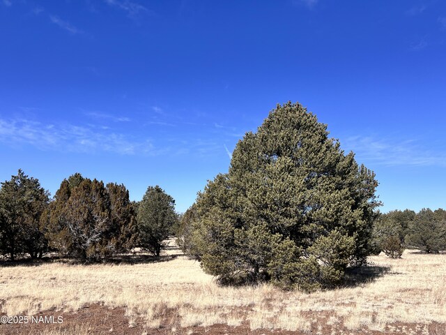 7277 Daisy Dr, Williams, AZ 86046