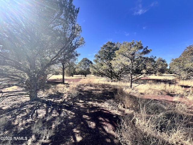 7277 Daisy Dr, Williams, AZ 86046