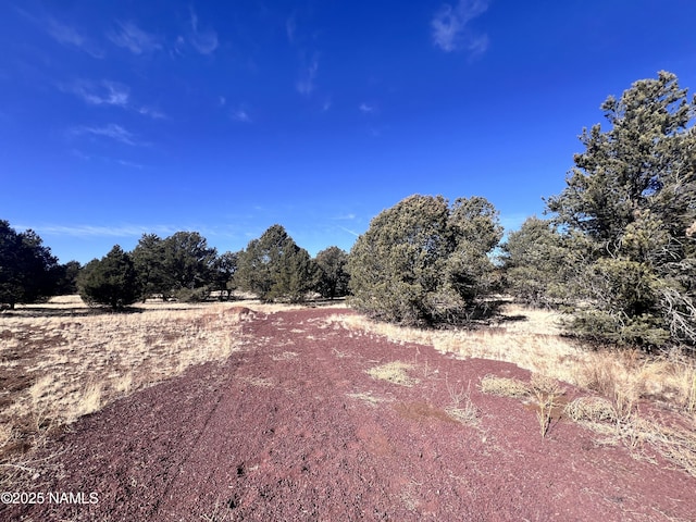 7277 Daisy Dr, Williams, AZ 86046