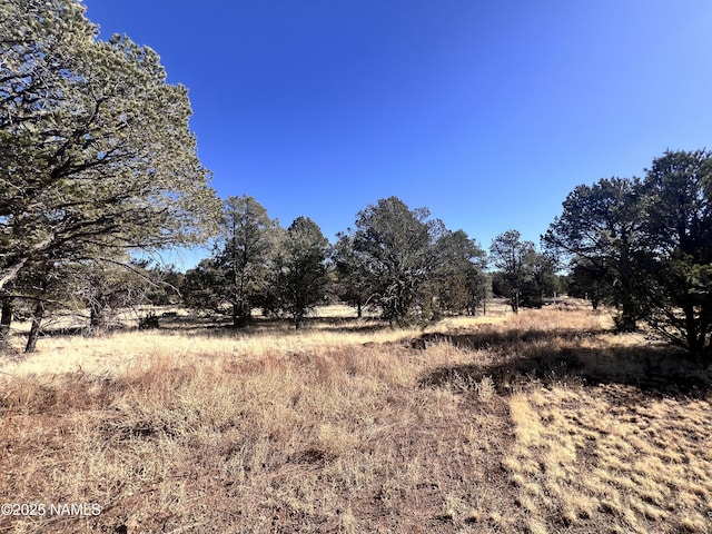 7277 Daisy Dr, Williams, AZ 86046