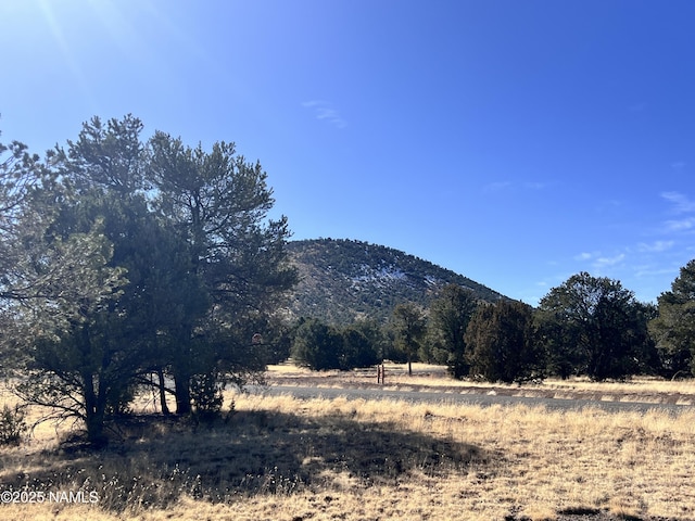 7277 Daisy Dr, Williams, AZ 86046