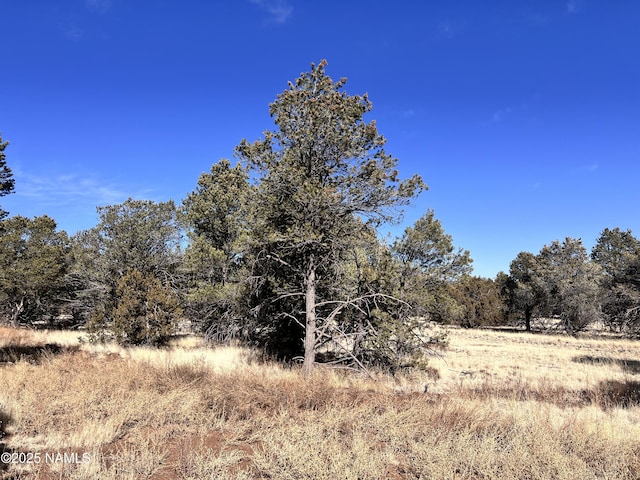 7277 Daisy Dr, Williams, AZ 86046