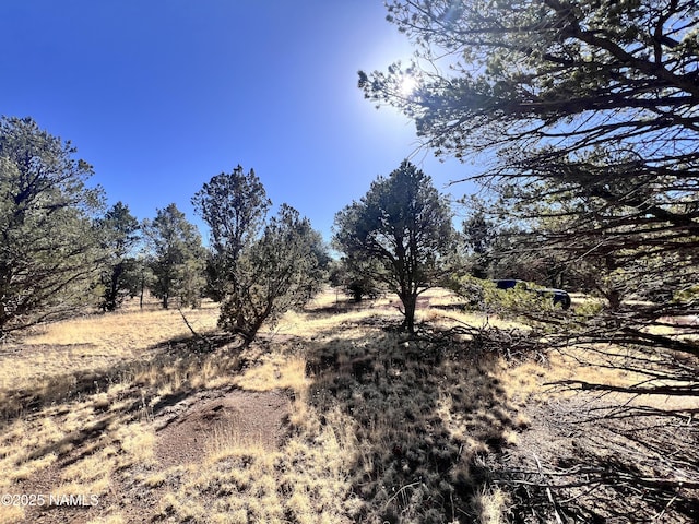 7277 Daisy Dr, Williams, AZ 86046