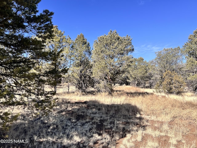 7277 Daisy Dr, Williams, AZ 86046