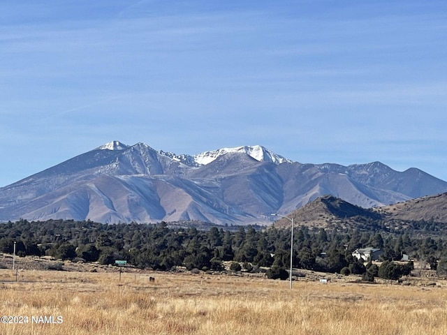 view of mountain feature