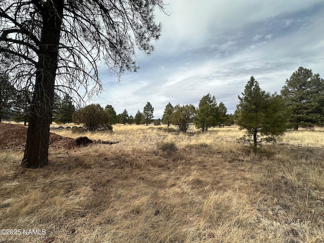 3480 E E Mtn, Man Trail, Williams AZ, 86046 land for sale