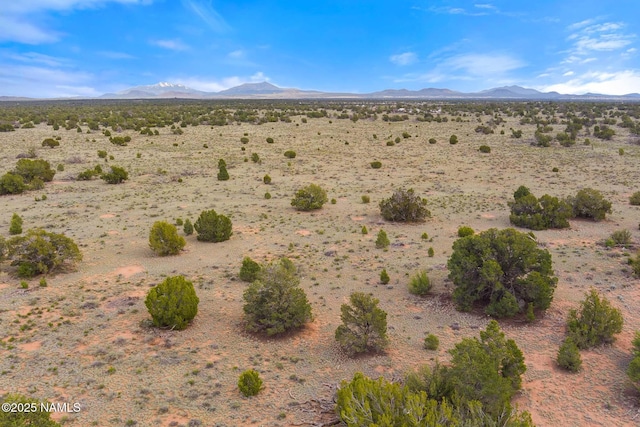 50178020C Silverbear Ln, Williams, AZ 86046