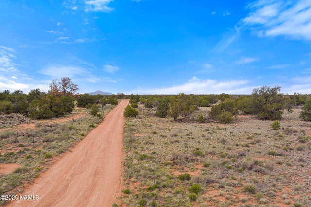 50178020C Silverbear Ln, Williams, AZ 86046