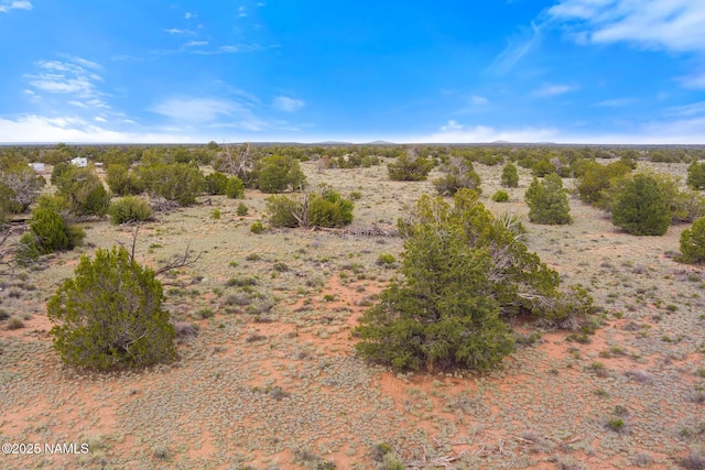50178020C Silverbear Ln, Williams, AZ 86046
