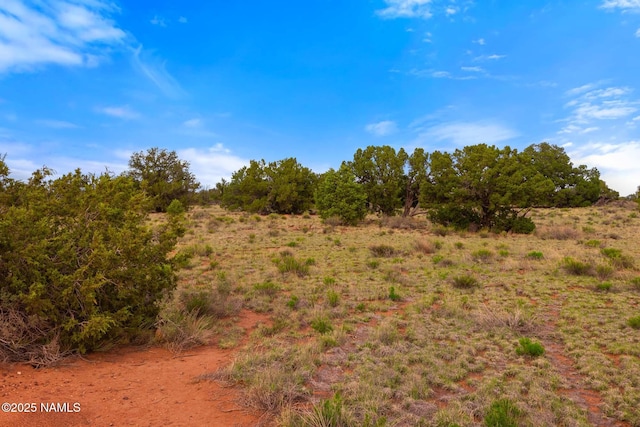 50178020C Silverbear Ln, Williams, AZ 86046