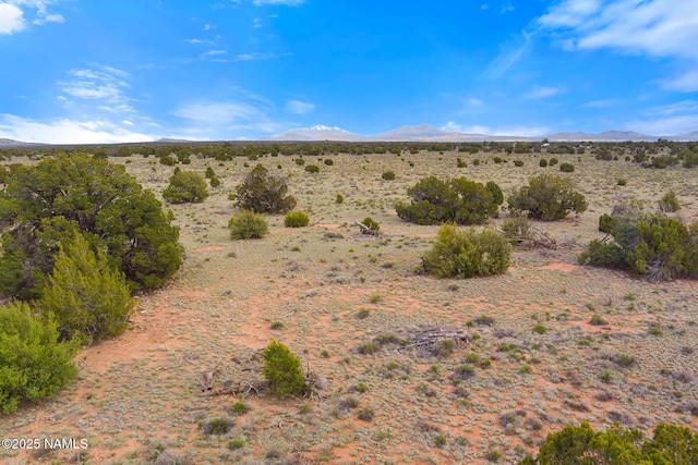 50178020C Silverbear Ln, Williams, AZ 86046