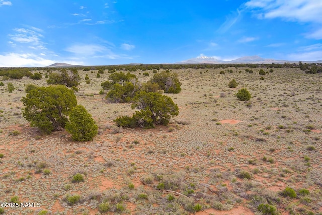 50178020C Silverbear Ln, Williams, AZ 86046