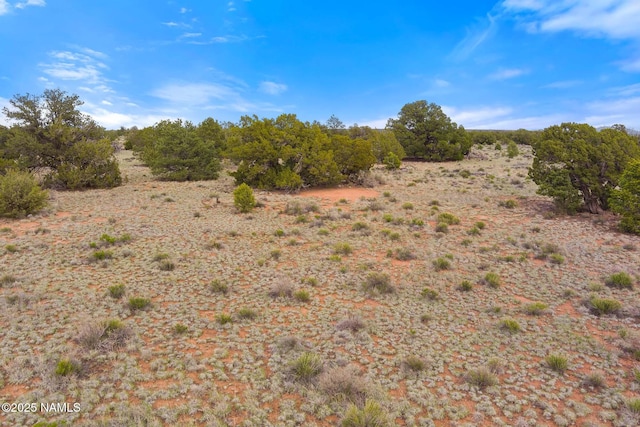 50178020C Silverbear Ln, Williams, AZ 86046