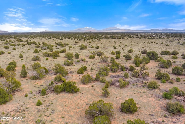 50178020C Silverbear Ln, Williams, AZ 86046