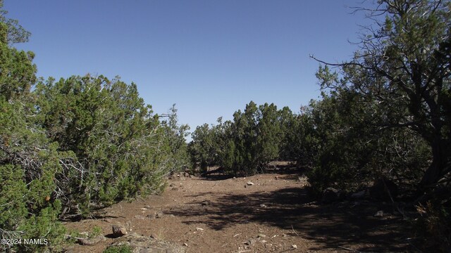 837 E Jackpine Ln Unit 47, Williams, AZ 86046 - photo 4