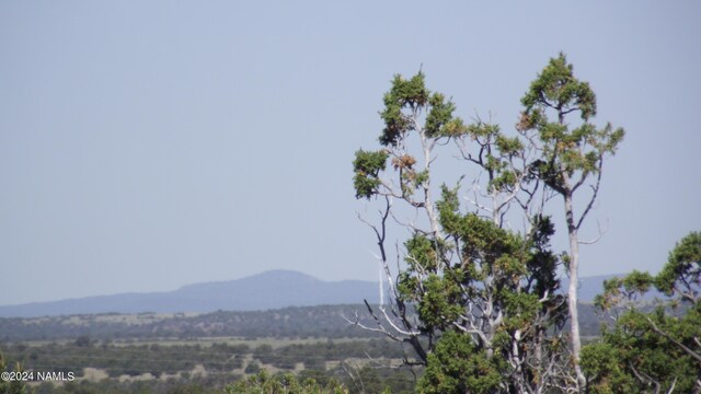 837 E Jackpine Ln Unit 47, Williams, AZ 86046 - photo 13
