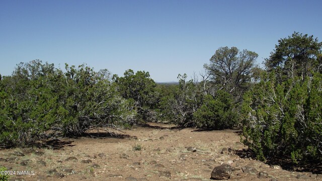 837 E Jackpine Ln Unit 47, Williams, AZ 86046 - photo 12