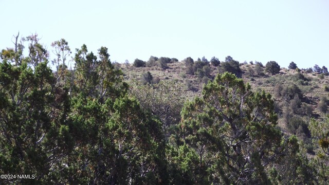 837 E Jackpine Ln Unit 47, Williams, AZ 86046 - photo 8