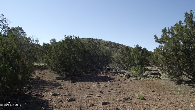 837 E Jackpine Ln Unit 47, Williams, AZ 86046 - photo 10