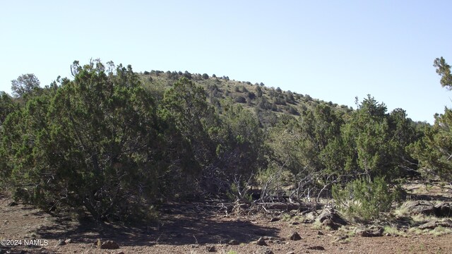 837 E Jackpine Ln Unit 47, Williams, AZ 86046 - photo 9