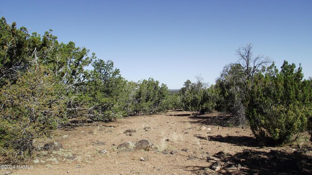 837 E Jackpine Ln Unit 47, Williams, AZ 86046 - photo 1