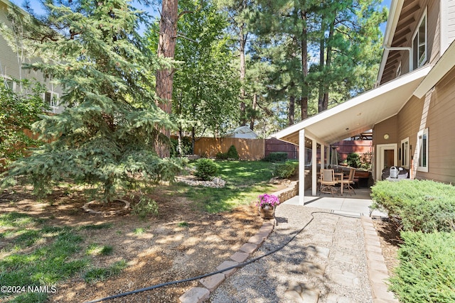 view of yard with a patio