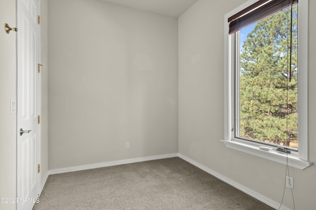 spare room featuring a wealth of natural light and carpet flooring