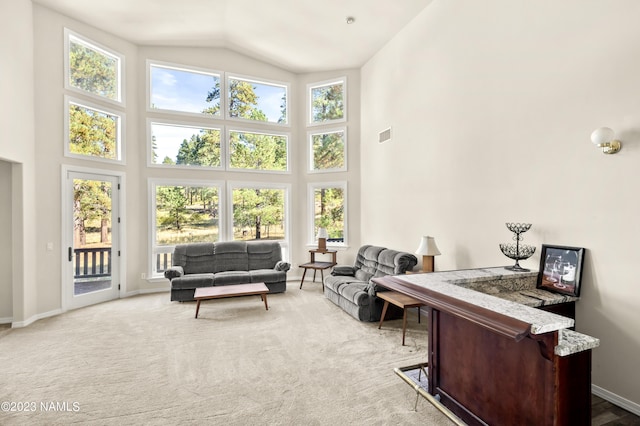 interior space with a healthy amount of sunlight and lofted ceiling