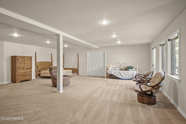 bedroom with light colored carpet