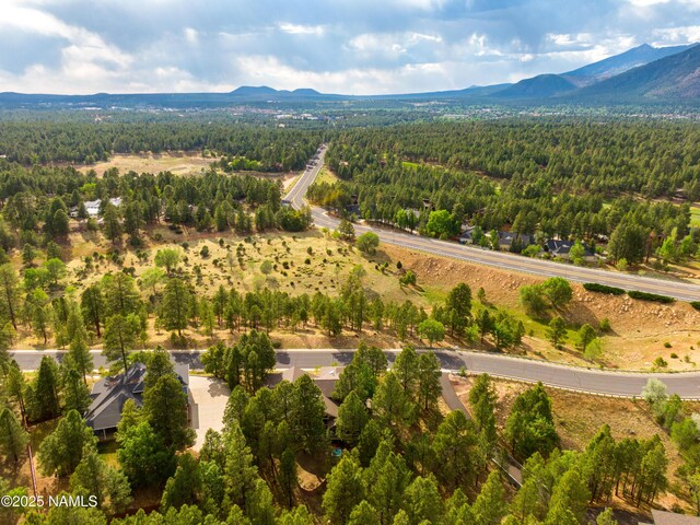1018 N Amberwood St, Flagstaff, AZ 86004 - photo 57