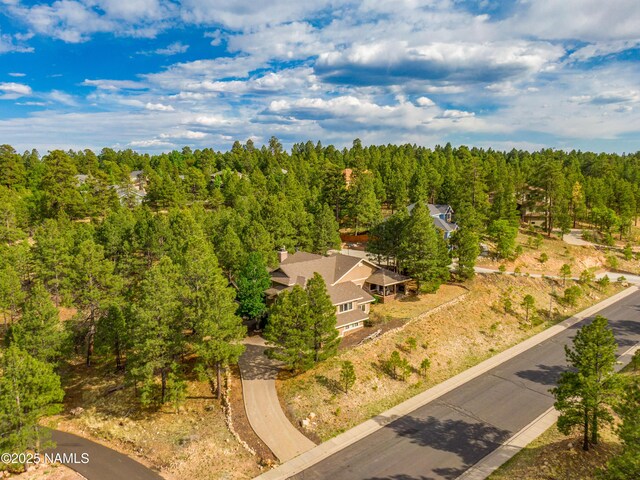 1018 N Amberwood St, Flagstaff, AZ 86004 - photo 48