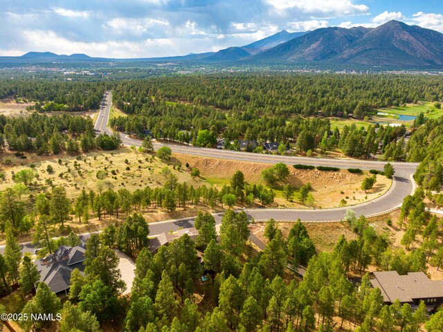 1018 N Amberwood St, Flagstaff, AZ 86004 - photo 58