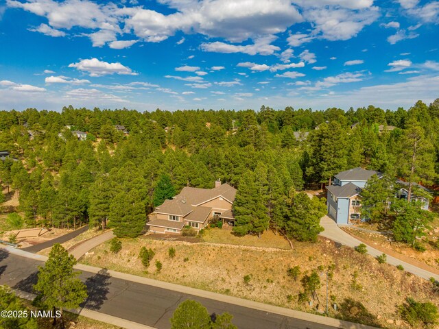 1018 N Amberwood St, Flagstaff, AZ 86004 - photo 50