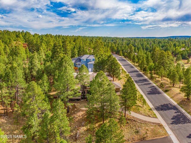 1018 N Amberwood St, Flagstaff, AZ 86004 - photo 61