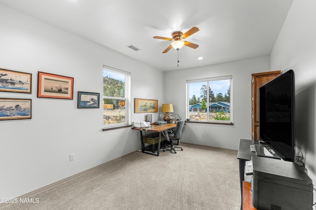 6633 Johnson Ranch Rd, Flagstaff, AZ 86004 - photo 22