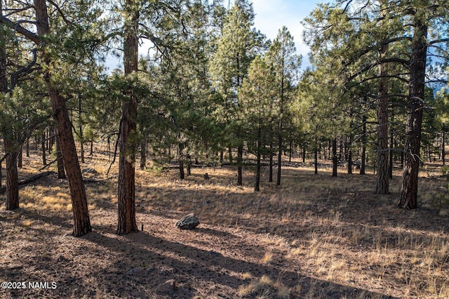 7175 W Naval Observatory Rd, Flagstaff, AZ 86001