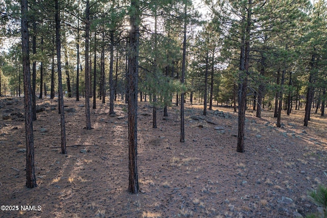 7175 W Naval Observatory Rd, Flagstaff, AZ 86001