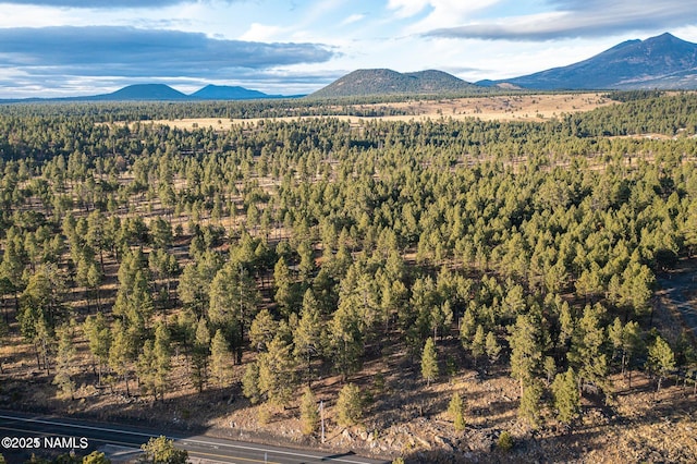 7175 W Naval Observatory Rd, Flagstaff, AZ 86001