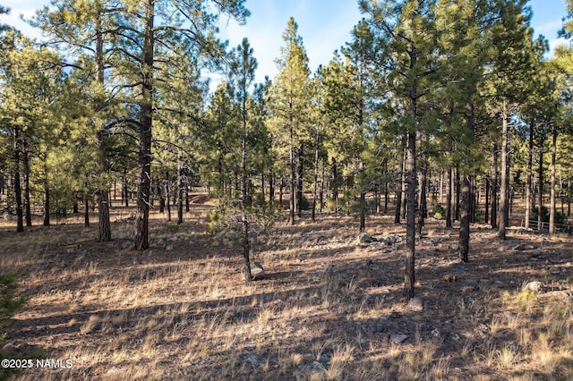 7175 W Naval Observatory Rd, Flagstaff, AZ 86001