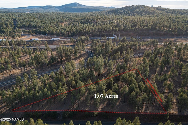 7175 W Naval Observatory Rd, Flagstaff, AZ 86001