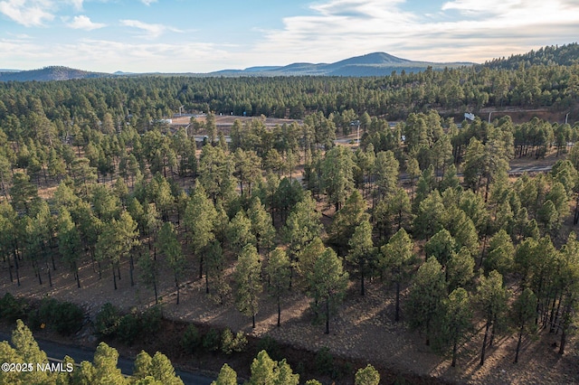 7175 W Naval Observatory Rd, Flagstaff, AZ 86001