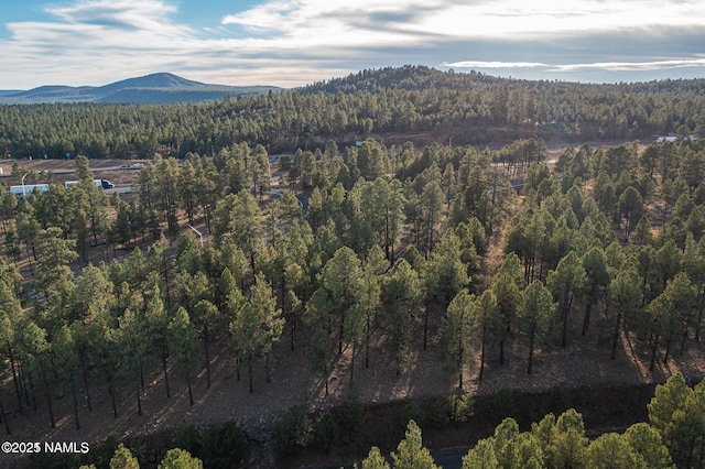 7175 W Naval Observatory Rd, Flagstaff, AZ 86001