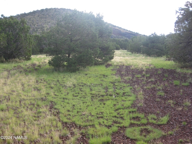 6087 N Joshua Tree Rd, Williams AZ, 86046 land for sale