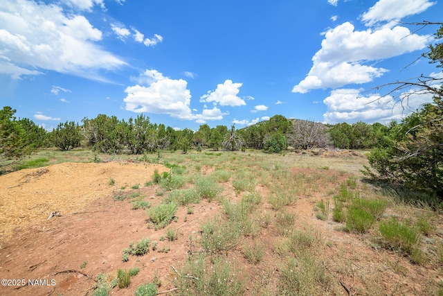 5541 N Juliane Dr, Williams, AZ 86046 - photo 25
