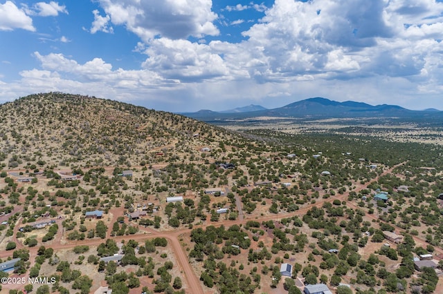 5541 N Juliane Dr, Williams, AZ 86046 - photo 31